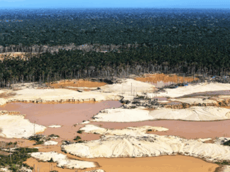 Amplas áreas de mineração de urânio a céu aberto em um ambiente de floresta, evidenciando impacto ambiental e desmatamento na Região Amazônica.