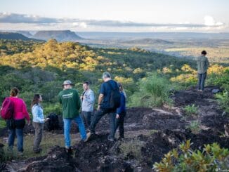 Vestígios ambientais e reflorestamento na reserva natural, com pessoas explorando a biodiversidade local e promovendo a preservação do meio ambiente, importante para sustentabilidade.