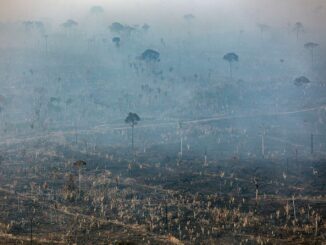 Desmatamento na Amazônia, floresta destruída por queimadas e atividades humanas, impacto ambiental severo, tema de sustentabilidade e preservação ambiental.