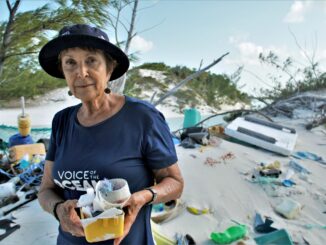 Pollutação ambiental na praia com lixo plástico e resíduos sólidos, destacando consequências ambientais e a necessidade de ações sustentáveis e de preservação.