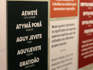 AUFETÊ TUPI-GUARANI, ATYMÃ PORÃ NANDEVA, AGUY JEVETE MBYA, AGUYJEVETE KAIWA, GRATIDÃO PORTUGUÊS - Significado das palavras em guarani e português, destacando a importância cultural e linguística na comunicação indígena.