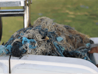 Fios de pesca e lixo plástico acumulados em uma embarcação, destacando problemas ambientais causados por poluição dos oceanos e a importância de ações para preservação marinha.