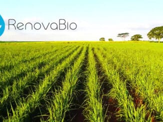 RenovaBio agricultura sustentável plantio de grãos verde no campo com árvores ao fundo ambiente ecológico.