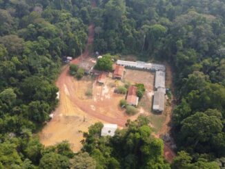 Fachada de uma área rural rodeada de floresta densa, com estruturas simples, indicando possível uso agrícola ou residencial em região de vegetação exuberante.