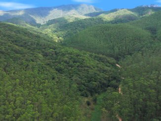 Floresta tropical exuberante em uma cadeia de montanhas verdes sob céu azul claro, destacando a biodiversidade e o ecoturismo na região.
