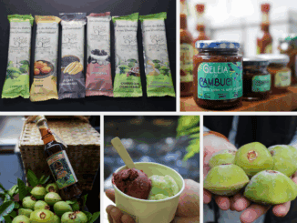 Sachets de snacks naturais de diferentes sabores de frutas e ingredientes saudáveis, representando opções de alimentos orgânicos e sustentáveis.