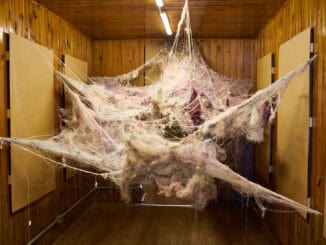 Teia de aranha artificial em instalação artística, ambiente rústico com madeira, foco em sustentabilidade e reciclagem, arte ecológica, impacto visual, ambientalmente consciente, ambiental mercantil.