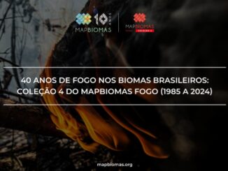 Incêndio em biomas brasileiros, comemoração dos 40 anos de fogo nos biomas do Brasil, evento ambiental, fogo na natureza, conservação ambiental, impacto ambiental, queimadas, preservação dos biomas, mapa de queimadas.