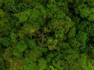 Floresta amazônica densa vista aérea, preservação ambiental, biodiversidade, proteção da floresta tropical, sustentabilidade ambiental, conservação da natureza.