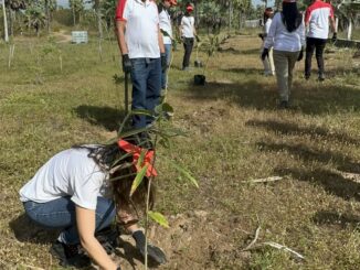 Reflorestamento de jovens árvores por equipe diversificada em ação de sustentabilidade ambiental na área natural.
