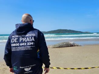 Procurador de monitoramento de praias inspecionando a orla para garantir a preservação ambiental e monitorar áreas protegidas contra poluição e degradação ambiental.