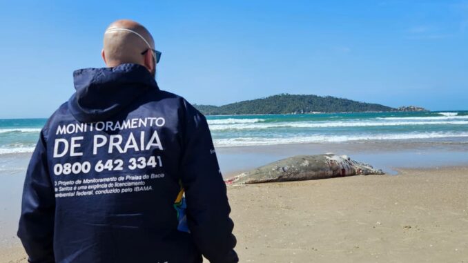 Procurador de monitoramento de praias inspecionando a orla para garantir a preservação ambiental e monitorar áreas protegidas contra poluição e degradação ambiental.