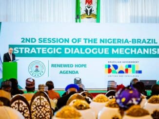 2. Palestrante em evento sobre diálogo estratégico entre Nigéria e Brasil na cidade de Abuja, com foco em políticas ambientais e cooperação internacional.