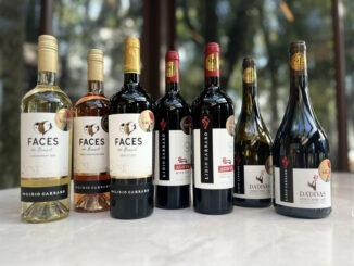 Vinhos tintos e brancos em garrafas decorativas em ambiente ao ar livre, destaque para marcas como Faces e Dadivas, ideal para apreciadores de vinhos e eventos sofisticados no Brasil.