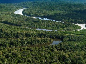 Foto: Divulgação | Amazônia