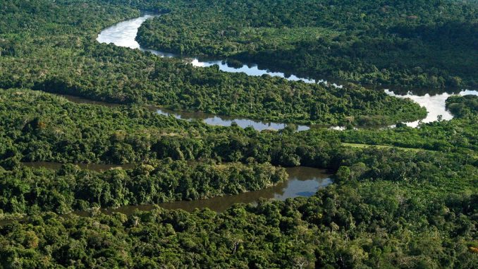 Foto: Divulgação | Amazônia