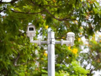Câmeras de vigilância ambiental instaladas em árvore para monitoramento de áreas verdes e conservação ambiental.
