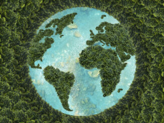 Proteger o meio ambiente com a Terra feita de árvores e água, destacando a importância da sustentabilidade global na preservação do planeta.