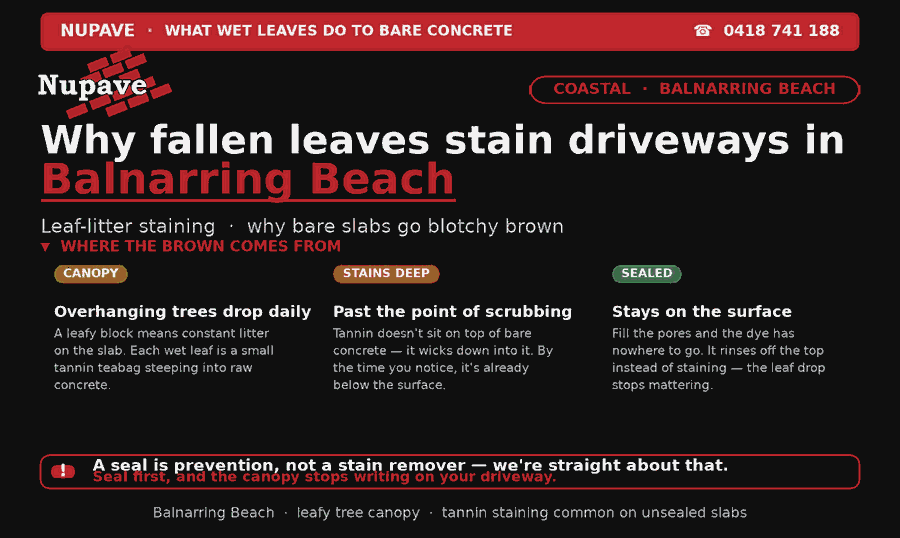Nupave sealing — common problem and fix in Balnarring Beach