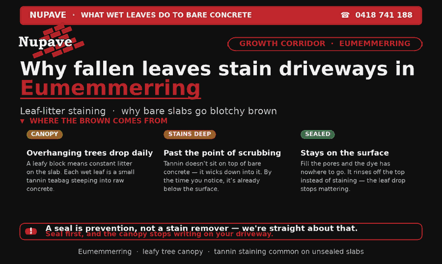 Nupave sealing — common problem and fix in Eumemmerring