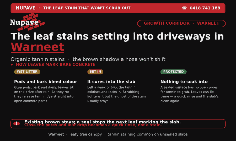 Nupave sealing — common problem and fix in Warneet