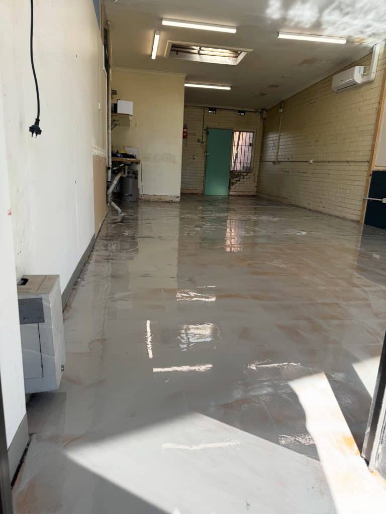 Completed commercial epoxy flake flooring with ceramic topcoat in a retail shop in Rosebud