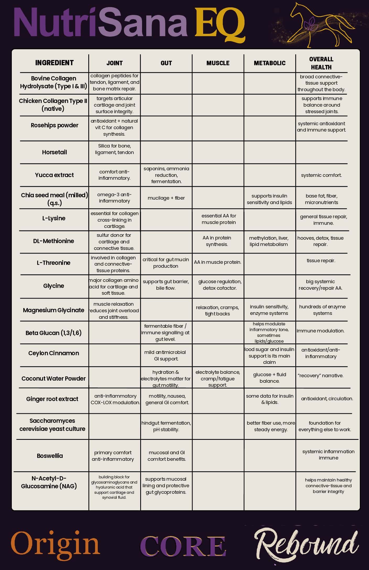 NutriSana EQ Rebound supplement for recovery and performance.