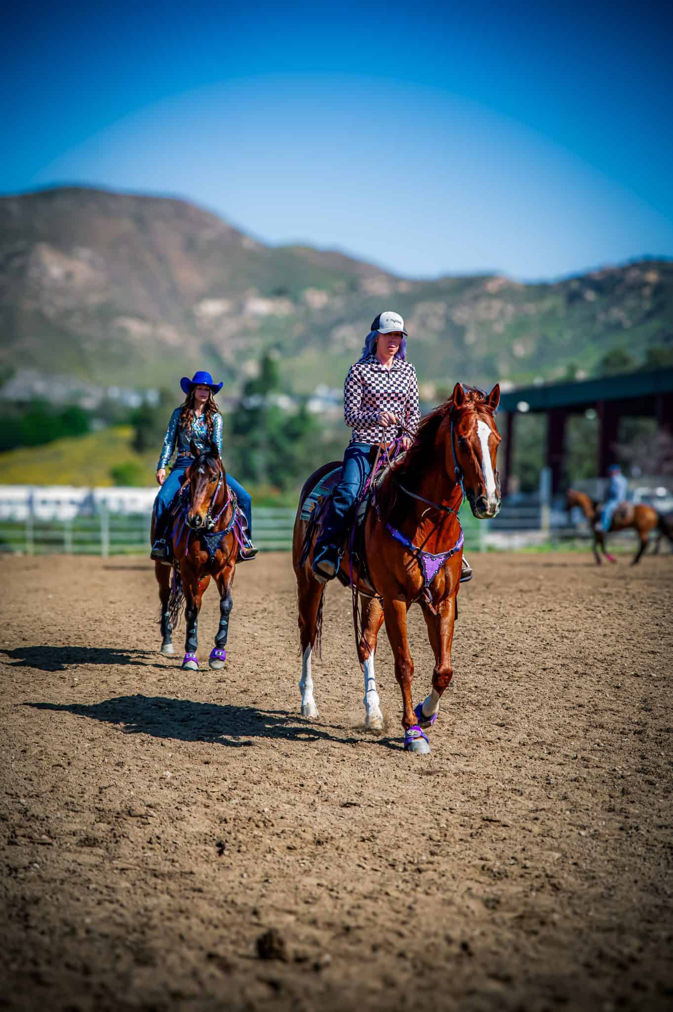 Horse supplement for improved health and performance.