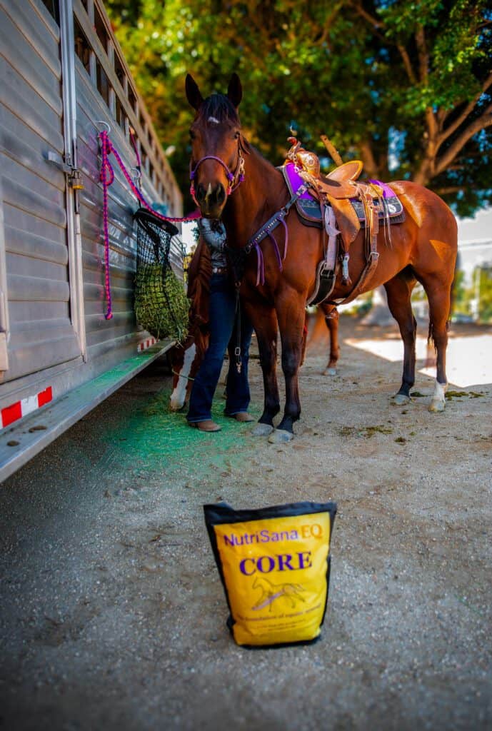 Equine with a bag of CORE. Getting ready to run performance.