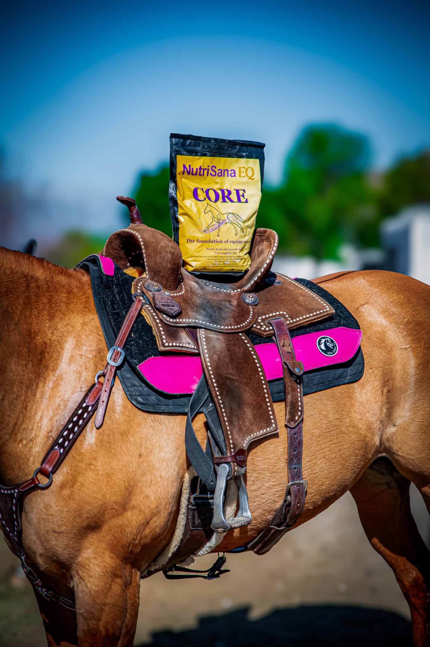 NutriSana EQ horse supplement on saddle for optimal equine health.