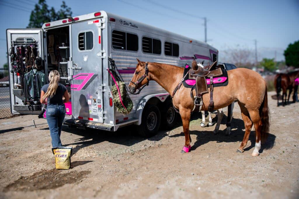 horse collagen supplement amino acid absorption chart