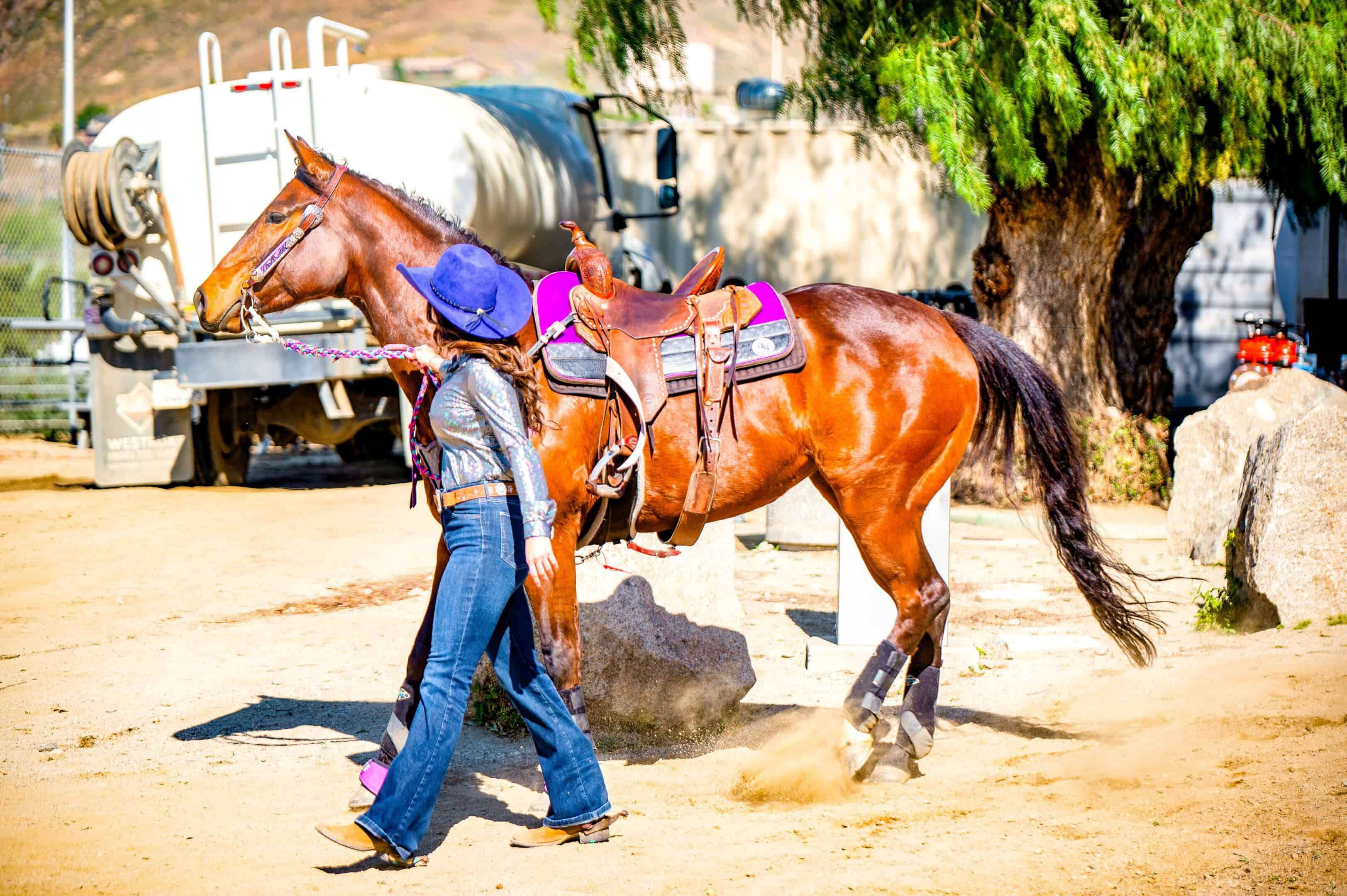 Horse supplement timeline for visible results with NutriSana EQ.