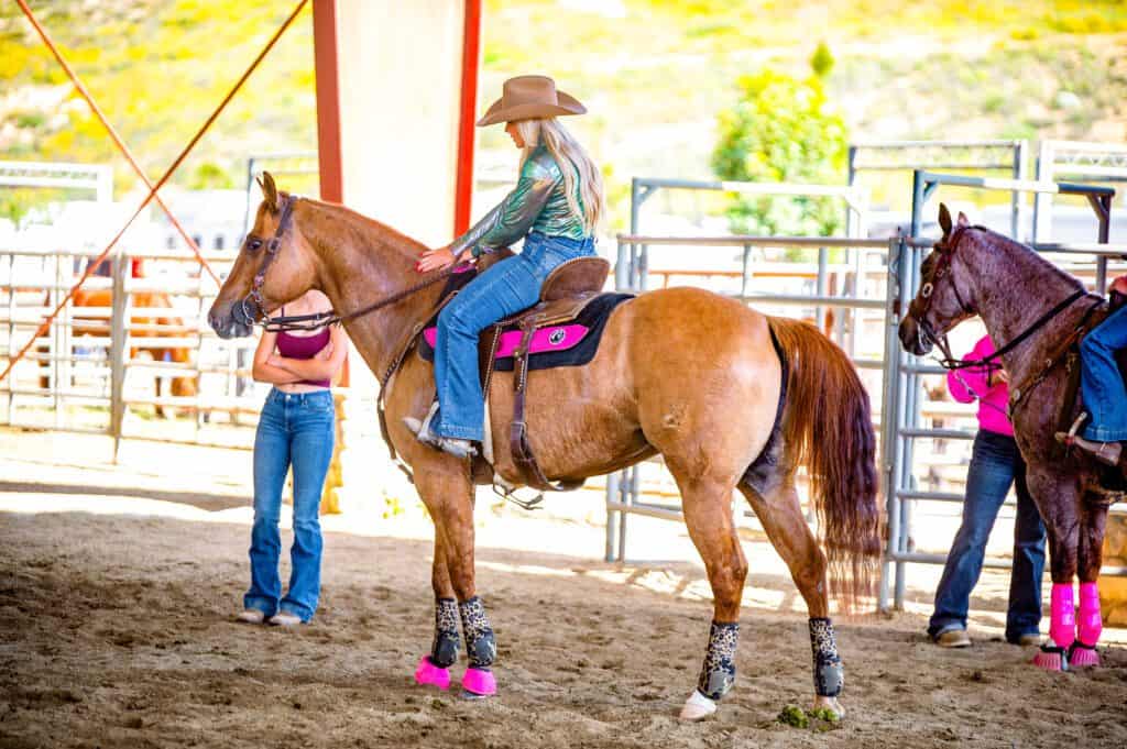 Proper horse care with NutriSana EQ for visible improvements over time.