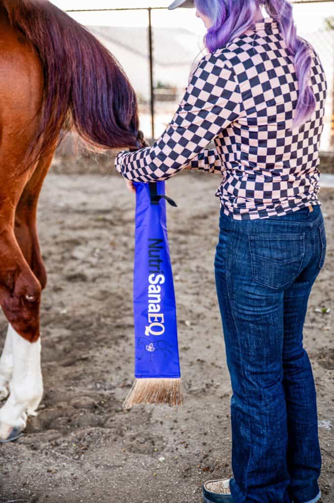 Horse supplement application with NutriSana EQ for optimal results.