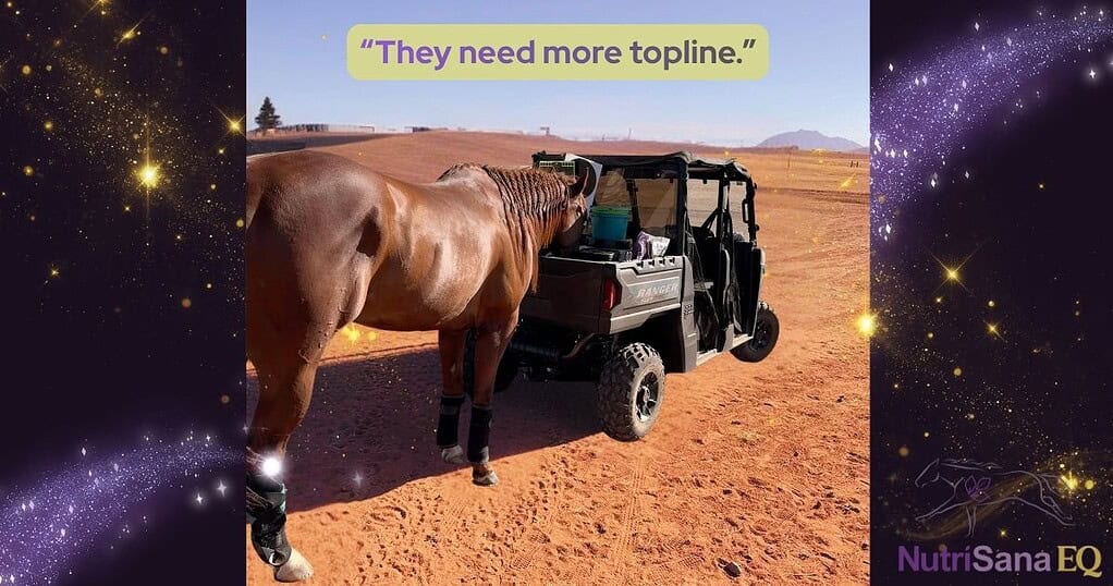 A horse and utility vehicle on a dirt path in a desert landscape.