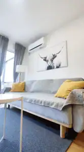 Füstifecske nappali részlet