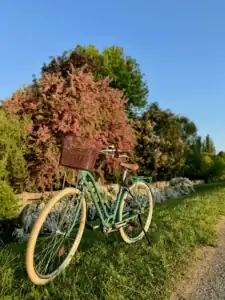 Kerékpárral a Tisza-tó körül - pillanatkép