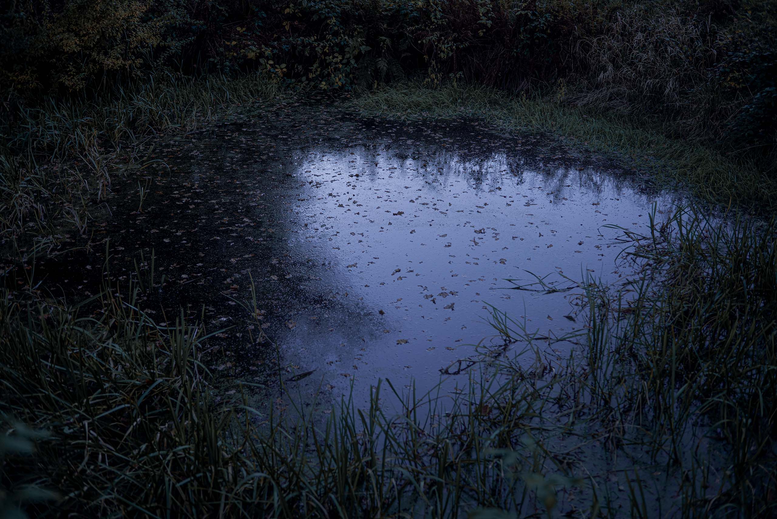 Bombcrater V1 1944 (photo 2016)