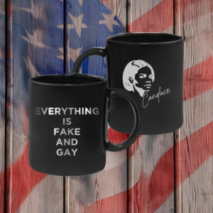 EVERYTHING Is Fake And Gay Mug