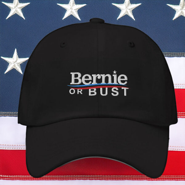 Bernie or Bust Hat