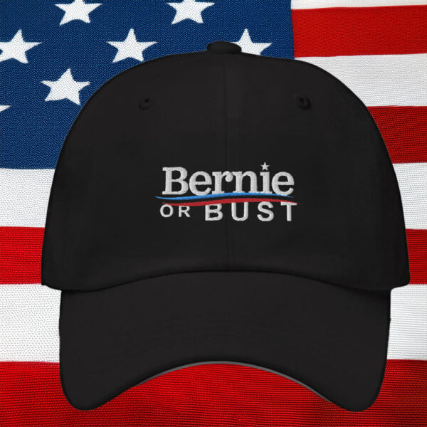 Bernie or Bust Hat