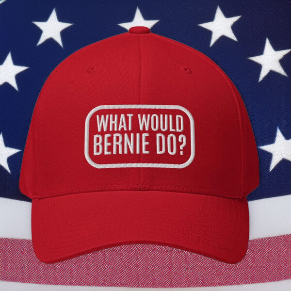 What Would Bernie Do Hat - Bernie Sandersc