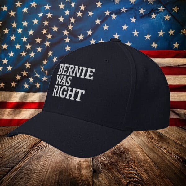 Bernie Was Right - Fight The Oligarchy Hat