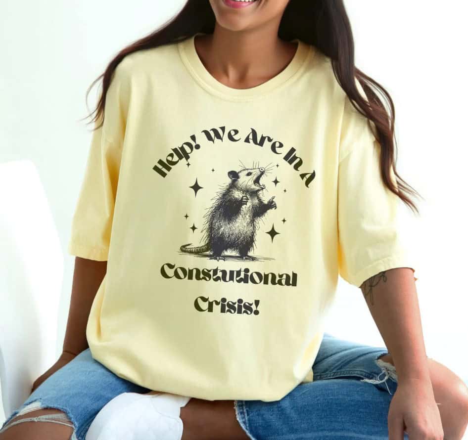 Were In A Constitutional Crisis shirt