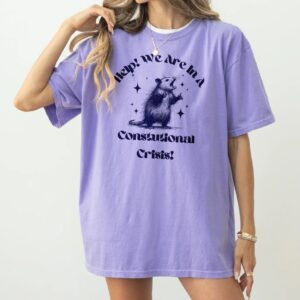 Were In A Constitutional Crisis shirt