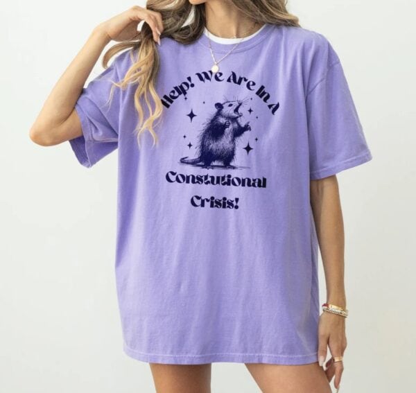 Were In A Constitutional Crisis shirt
