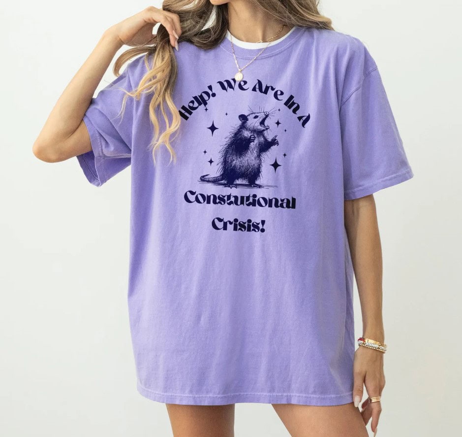 Were In A Constitutional Crisis shirt