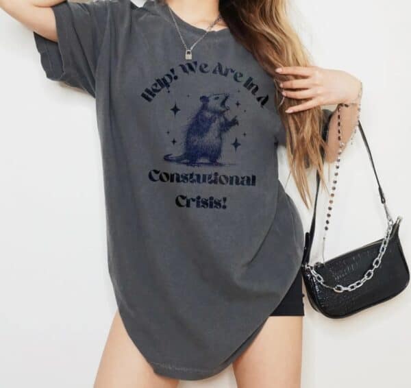 Were In A Constitutional Crisis shirt