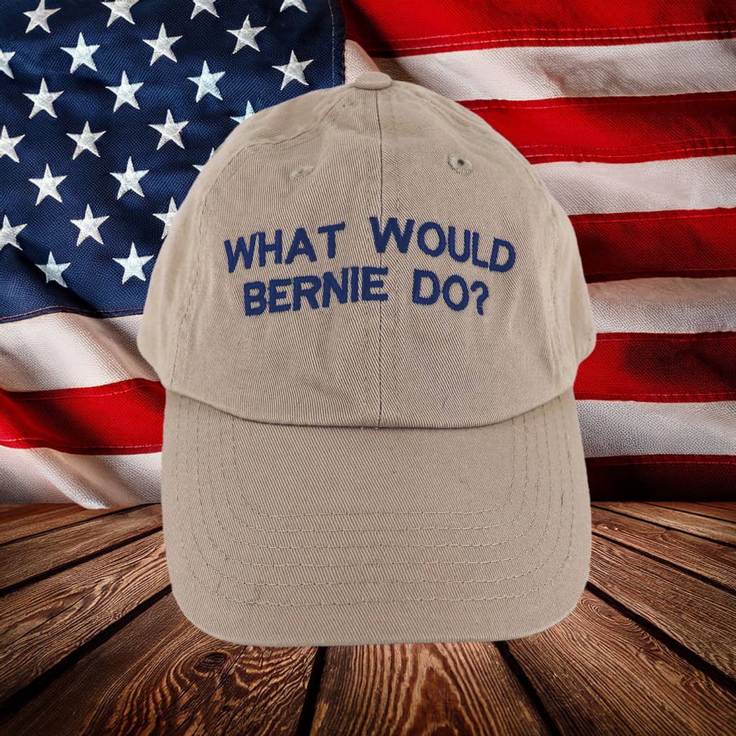 What Would Bernie Do Hat 