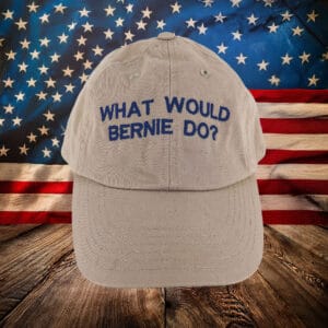 What Would Bernie Do Hat